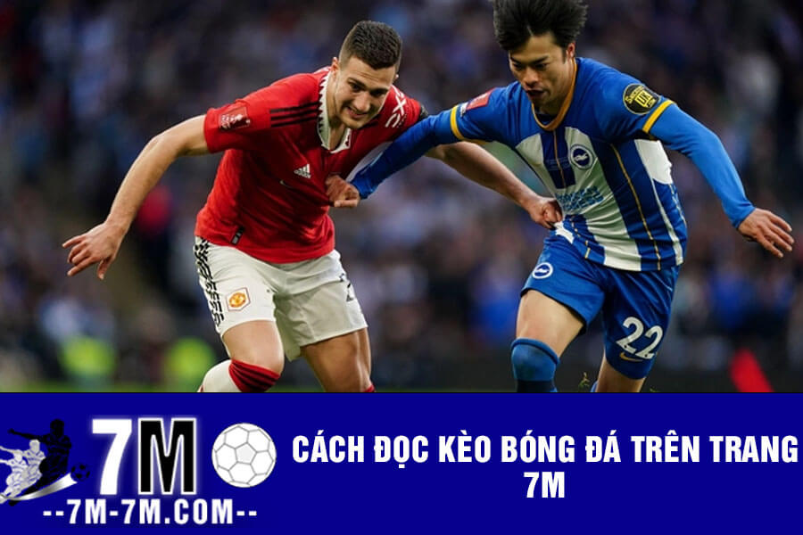 Cách đọc kèo bóng đá trên trang 7m Cách đọc kèo bóng đá trên trang 7m