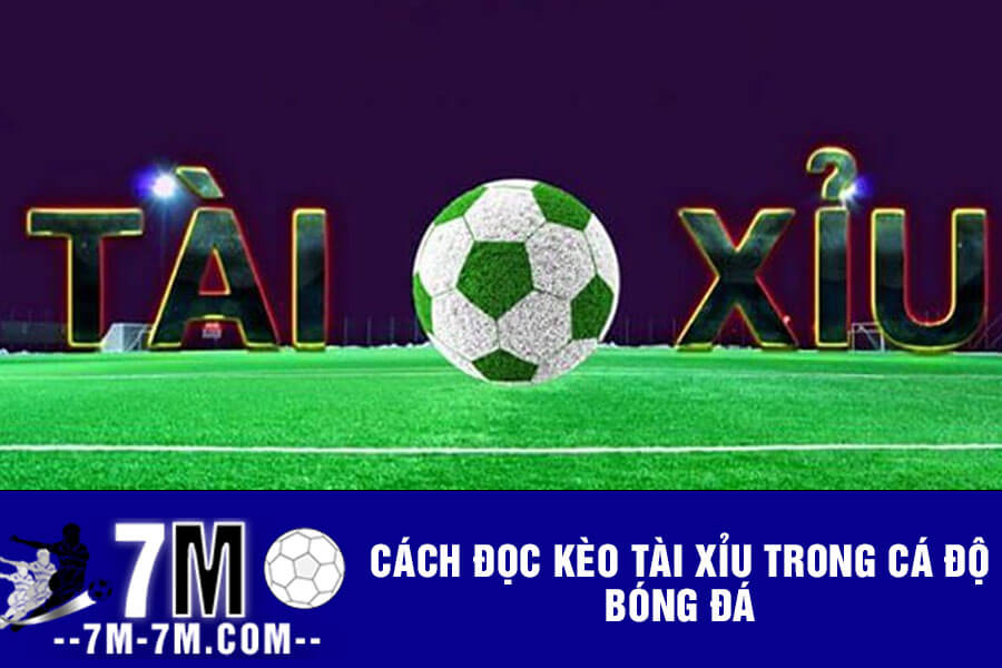 Cách đọc kèo tài xỉu trong cá độ bóng đá Cách đọc kèo tài xỉu trong cá độ bóng đá