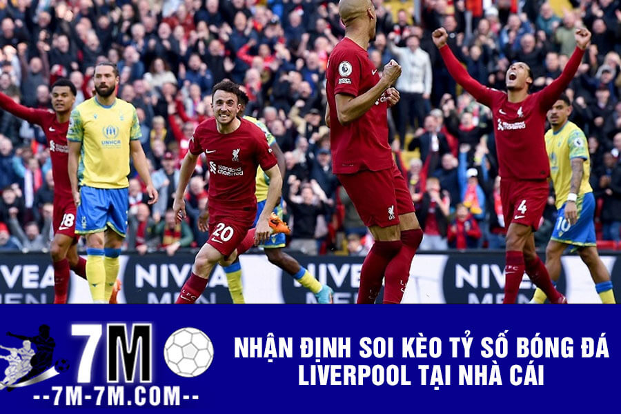 Nhận định soi kèo Tỷ số bóng đá Liverpool tại nhà cái Nhận định soi kèo Tỷ số bóng đá Liverpool tại nhà cái