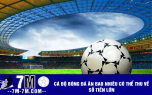 Cá độ bóng đá ăn bao nhiêu có thể thu về số tiền lớn
