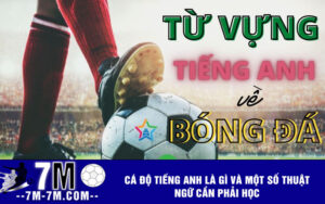 Cá độ tiếng anh là gì và một số thuật ngữ cần phải học 