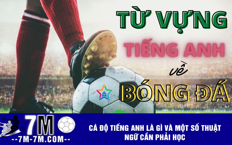 Cá độ tiếng anh là gì và một số thuật ngữ cần phải học 