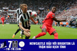 Newcastle đấu với Brighton là trận đấu kịch tính 