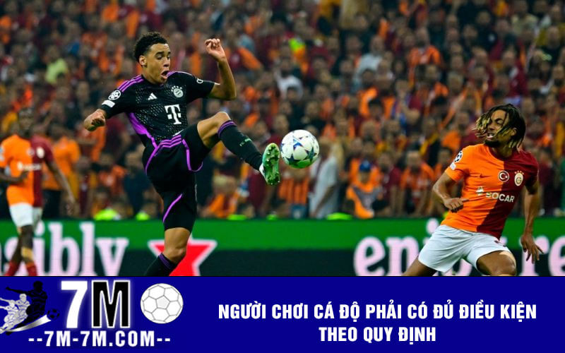 Người chơi cá độ phải có đủ điều kiện theo quy định Người chơi cá độ phải có đủ điều kiện theo quy định