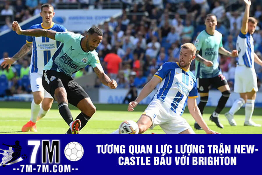 Tương quan lực lượng trận Newcastle đấu với Brighton Tương quan lực lượng trận Newcastle đấu với Brighton
