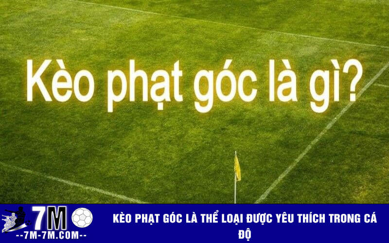 Kèo phạt góc là thể loại được yêu thích trong cá độ Kèo phạt góc là thể loại được yêu thích trong cá độ