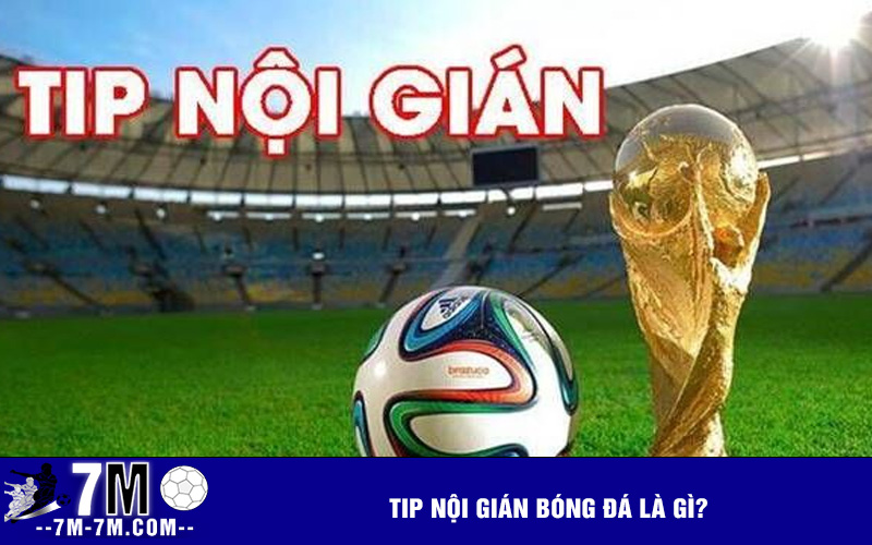 Tip nội gián bóng đá là gì? Tip nội gián bóng đá là gì?