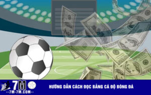 Hướng dẫn cách đọc bảng cá độ bóng đá