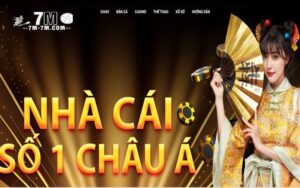 Giới thiệu khái quát về nhà cái Xin88