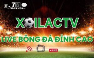 Tối ưu hóa trải nghiệm xem bóng đá của bạn trên Xoi lac TV