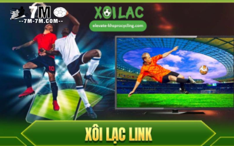 Xoilac cung cấp thông tin bóng đá chính xác Xoilac cung cấp thông tin bóng đá chính xác