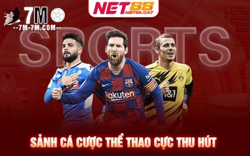 Tổng quan về thể thao NET88 Tổng quan về thể thao NET88