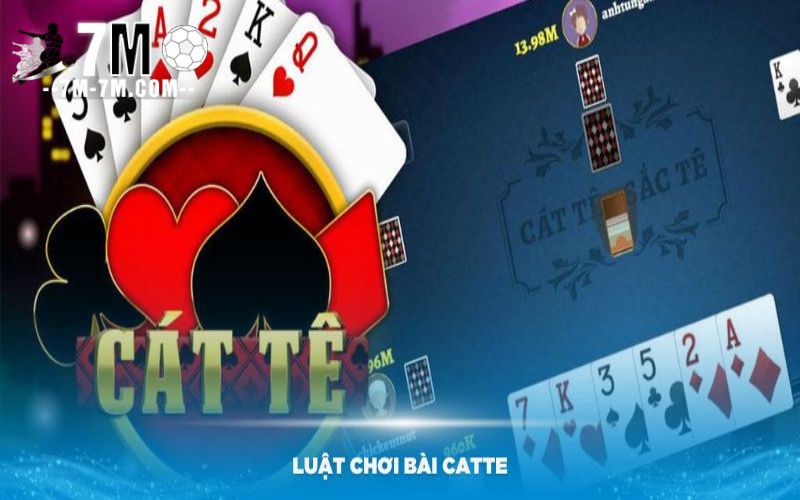 Tìm hiểu về trò chơi Catte cực hay và trí tuệ Tìm hiểu về trò chơi Catte cực hay và trí tuệ