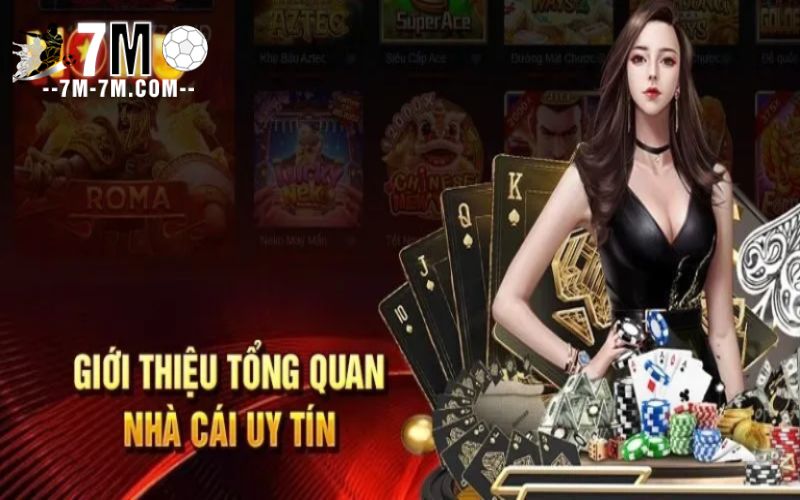 Giới thiệu về nhà cái nohu Giới thiệu về nhà cái nohu