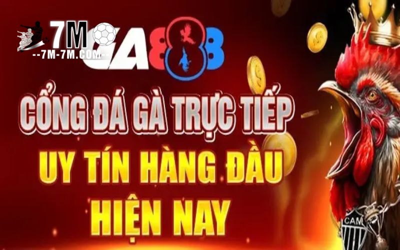 Sảnh đá gà trực tuyến uy tín tại GA888 Sảnh đá gà trực tuyến uy tín tại GA888